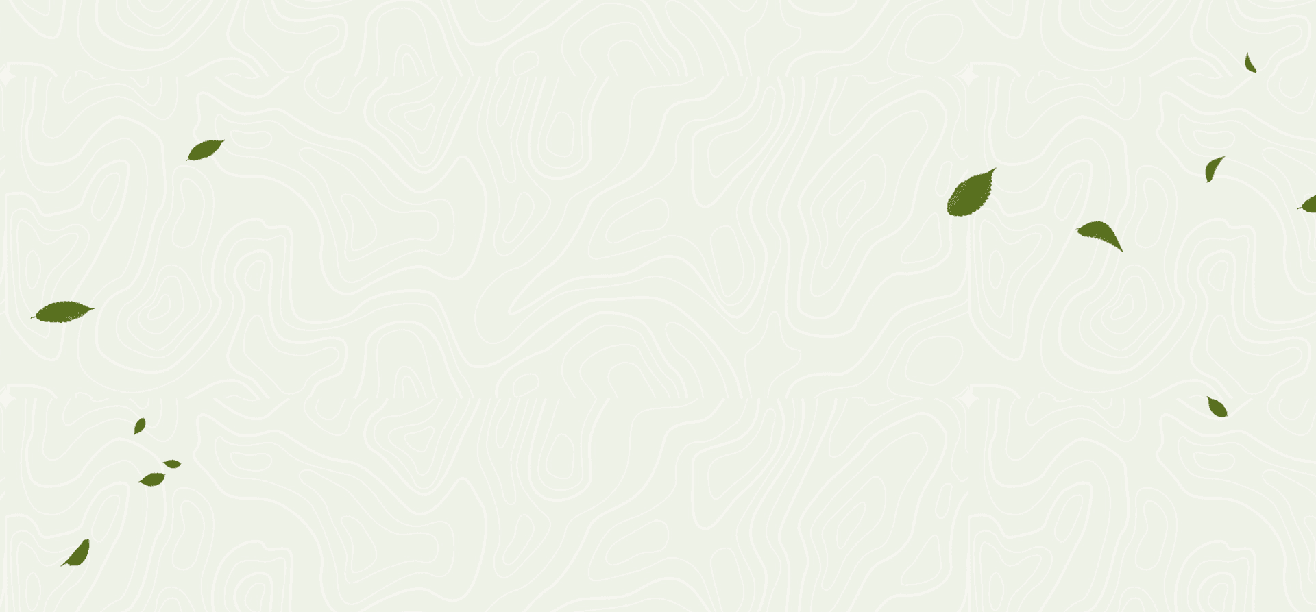 quality banner bg